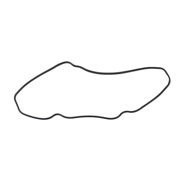 Intake Manifold Gasket Beta Marine Beta 25