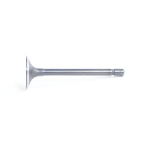 Exhaust Valve Beta Marine Beta 16 | Beta 25 – Phasor K2-4.5