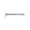 Intake Valve Beta Marine Beta 16 | Beta 25 – Phasor K2-4.5