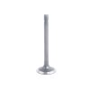 Exhaust Valve Beta Marine Beta 16 | Beta 25 – Phasor K2-4.5