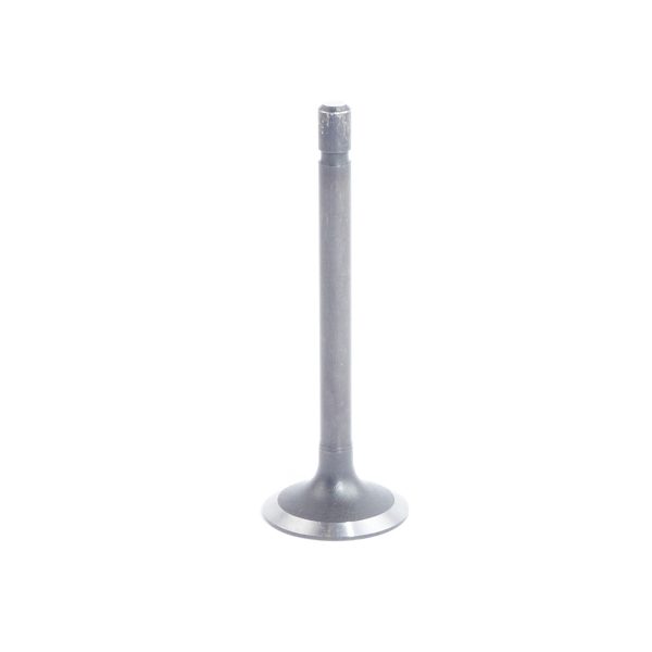 Intake Valve Beta Marine Beta 16 | Beta 25 – Phasor K2-4.5