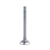 Intake Valve – Beta Marine Beta 10/14/20 | Nanni N2.10/N2.14/N3.21