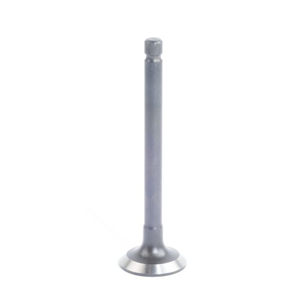 Intake Valve – Beta Marine Beta 10/14/20 | Nanni N2.10/N2.14/N3.21
