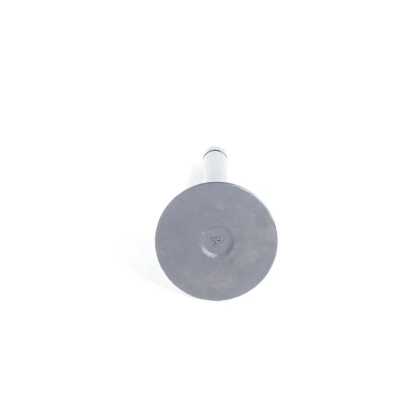 Intake Valve Beta Marine Beta 50 – Nanni N4.50