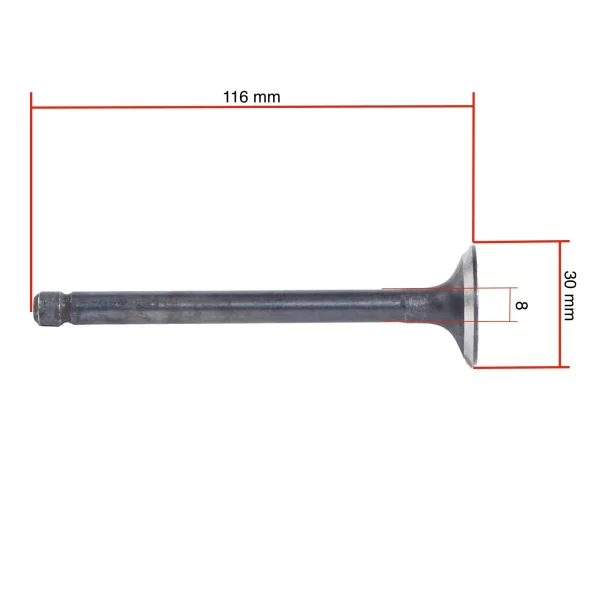 Solé Diesel Mini 18 inlet valve – original