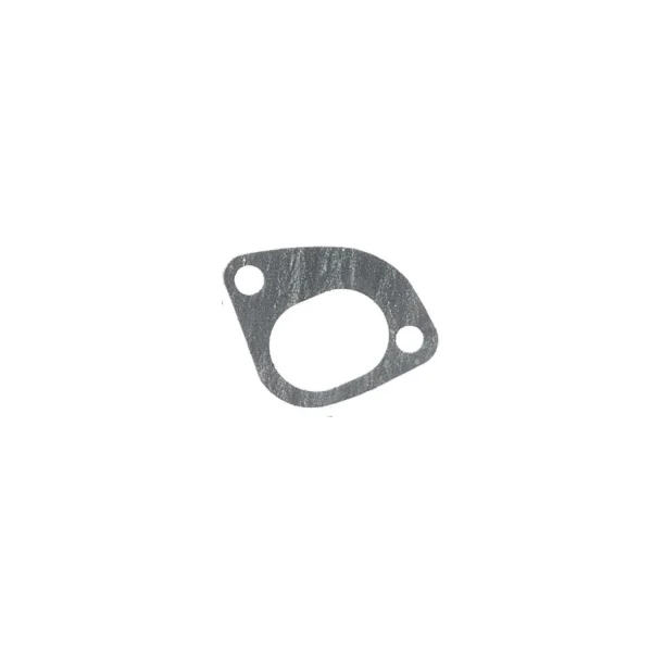 Intake Manifold Gasket Solé Diesel Mini 18