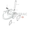 Intake Manifold Gasket Solé Diesel Mini 18