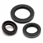 Oil Seals