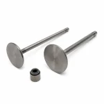 Valves