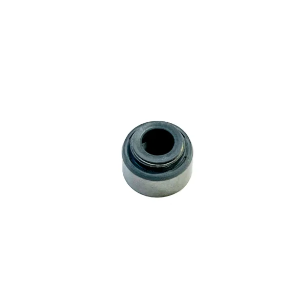 Valve Seals Beta Marine Beta 50 – Nanni N4.50
