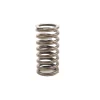 Valve Spring Beta Marine Beta 50 – Nanni N4.50