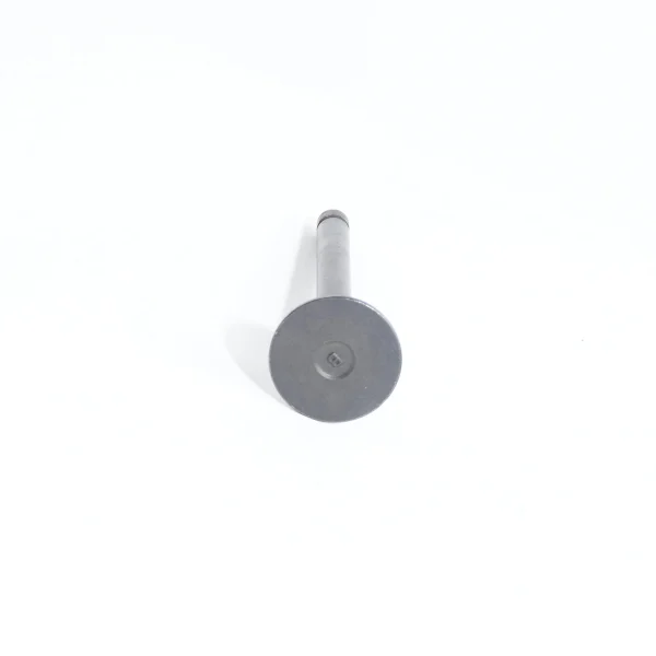 Exhaust Valve Beta Marine Beta 50 – Nanni N4.50