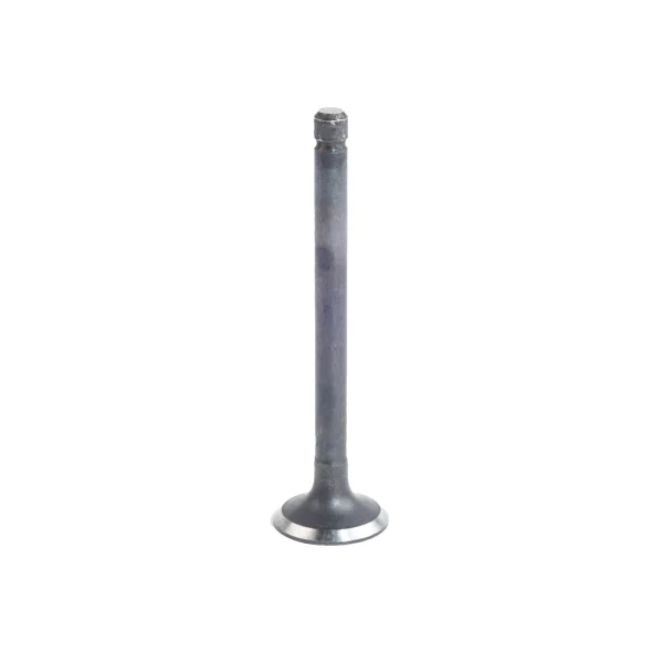 Exhaust Valve Beta Marine Beta 28 &amp; Beta 30 | Beta 38 – Nanni N3.30 | N4.38 – Universal M-25XPB