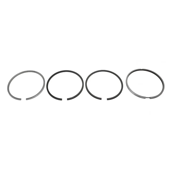 Piston Rings Solé Diesel Mini 18