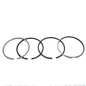 Piston Rings Solé Diesel Mini 18