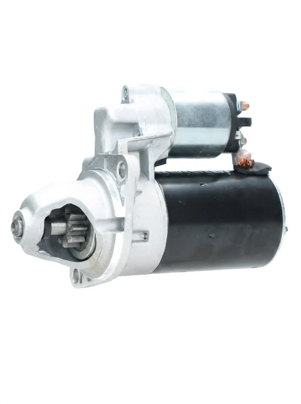 Starter Motor Ruggerini Marine MM150 MM190 MW190 MW191 12V 1.1kW